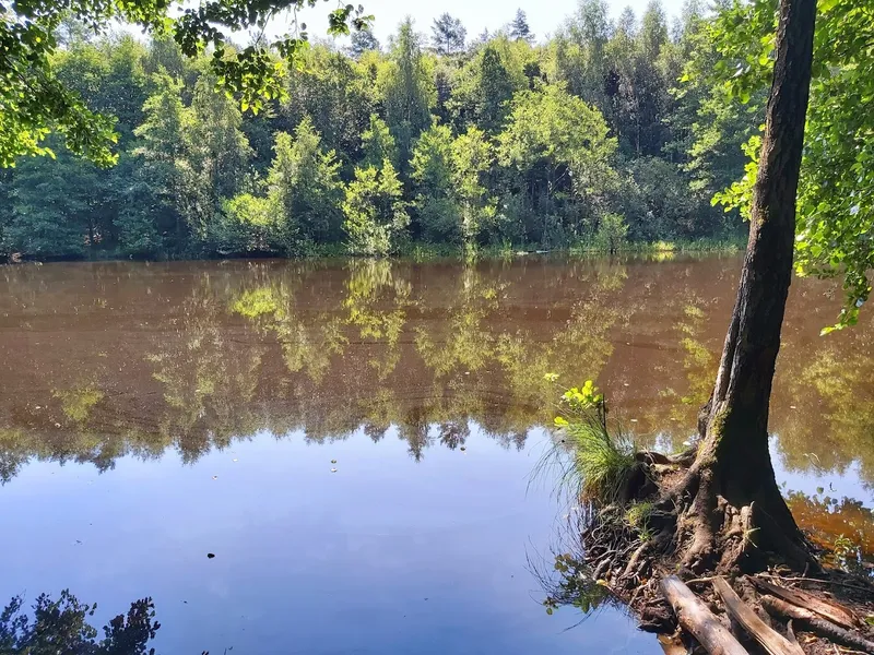 Jezioro Goślickie