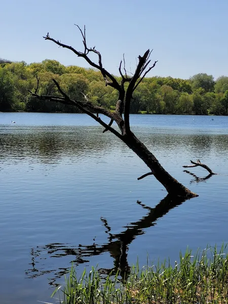 Skały podwodne