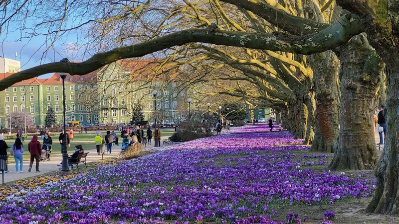 Park im. Jana Kasprowicza