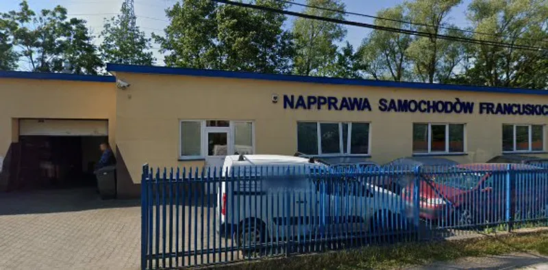 Naprawa Samochodów Francuskich