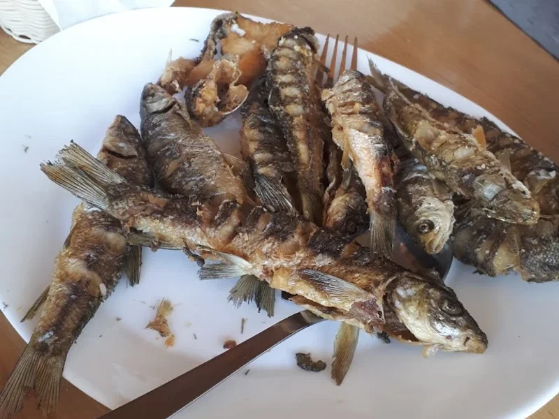 Olhares do Douro