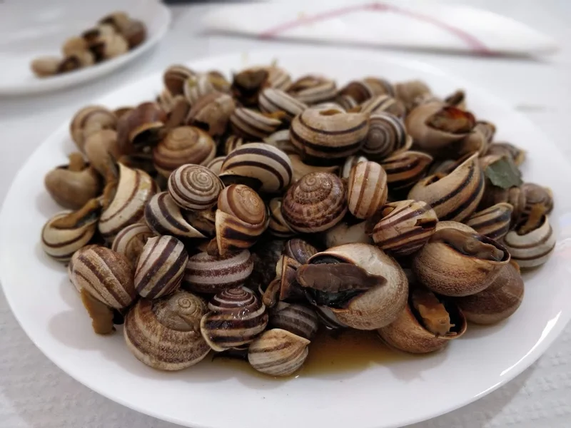 Café Central Palhais