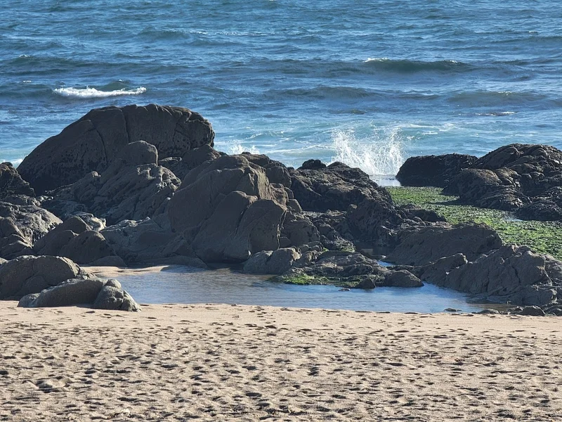 Esplanada do Carvalhido