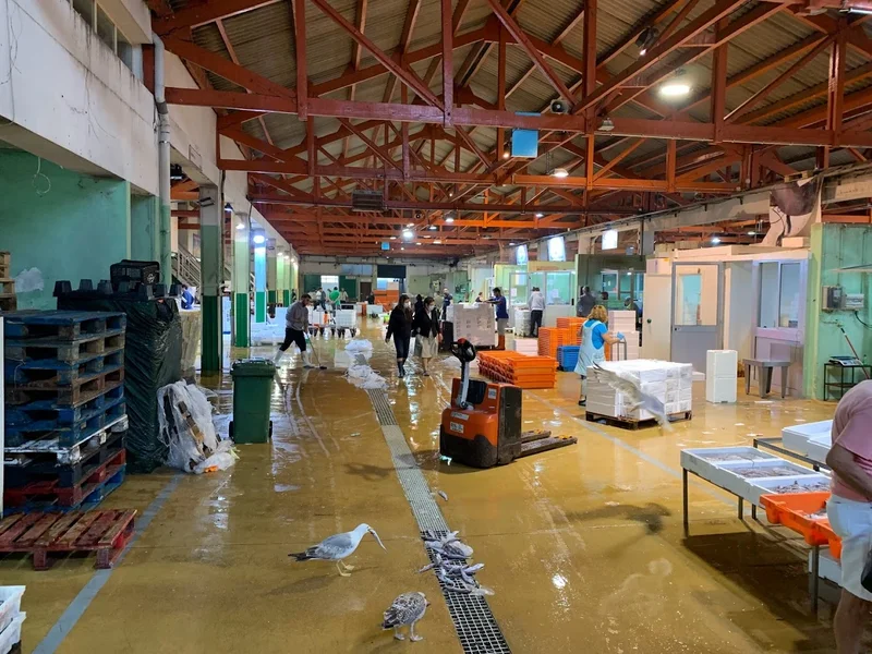 Docapesca Matosinhos