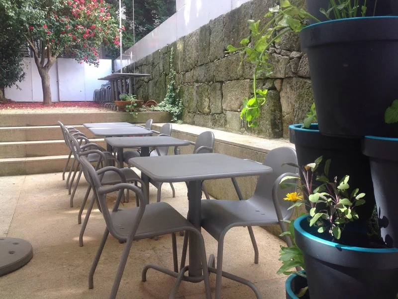 Remédio Santo Campo Alegre