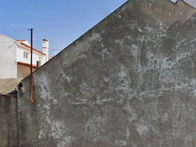 Leitões do Varatojo