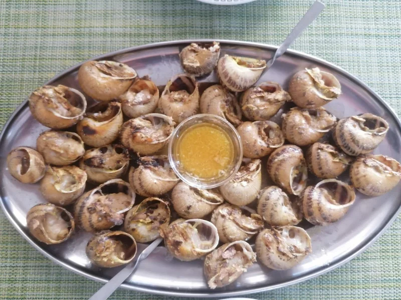 Porteira Dos Petiscos