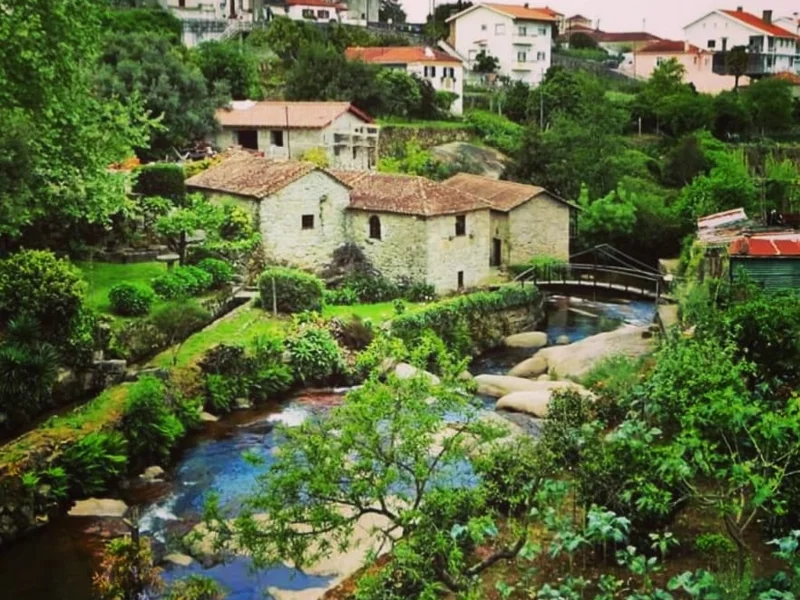 Petisqueira Sanguinhedo