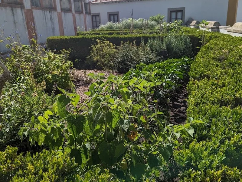 Jardins do Palácio Nacional de Sintra