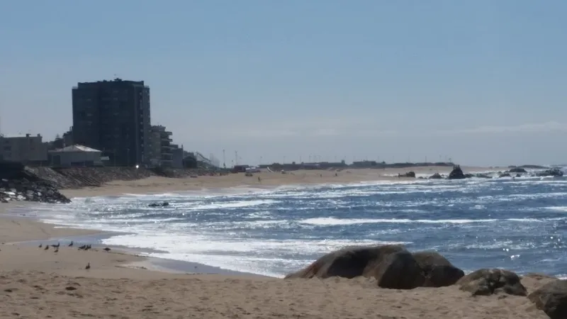 Praia das Caxinas