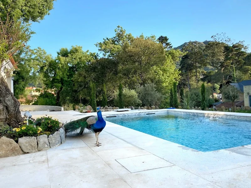 A Capela - A Essência de Sintra