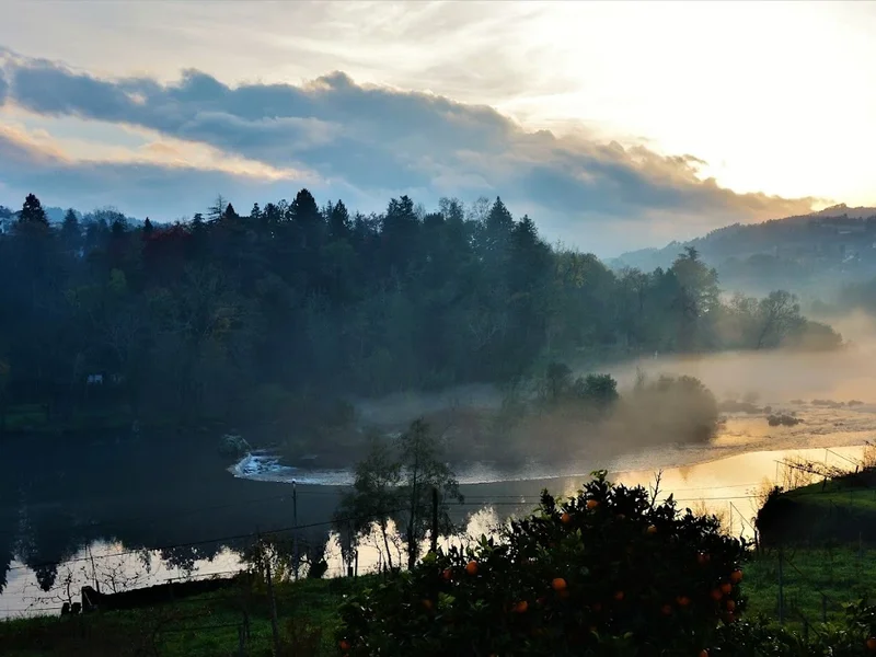 Doçaria Mário, Lda