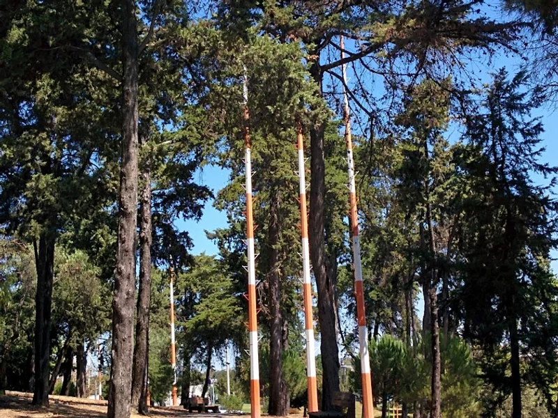 Parque José Gomes Ferreira