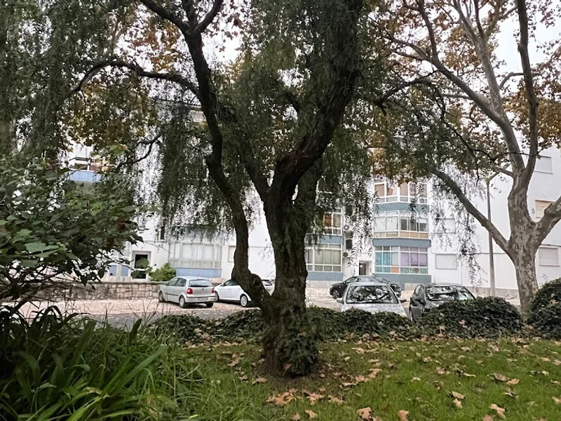 Jardim Praça João Martinho de Freitas