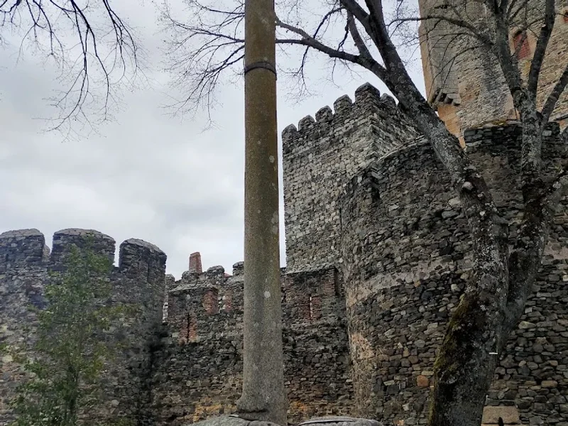 Jardim do Castelo