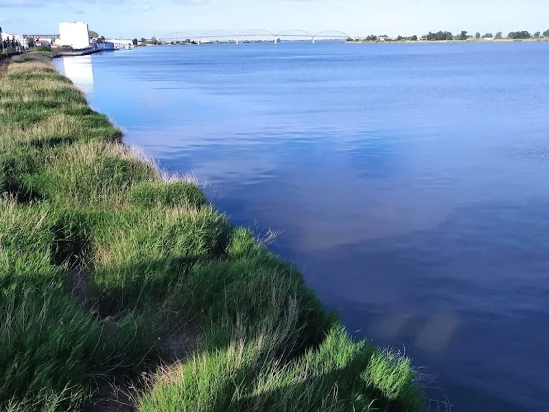 Parque Urbano do Cevadeiro