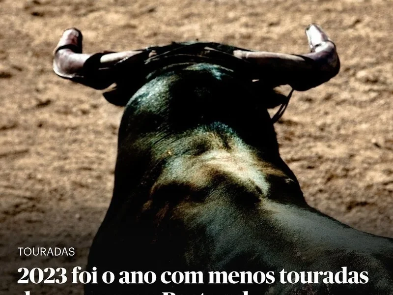 Praça de Toiros Palha Blanco