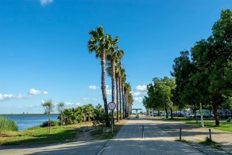 Passeio Ribeirinho de Alhandra