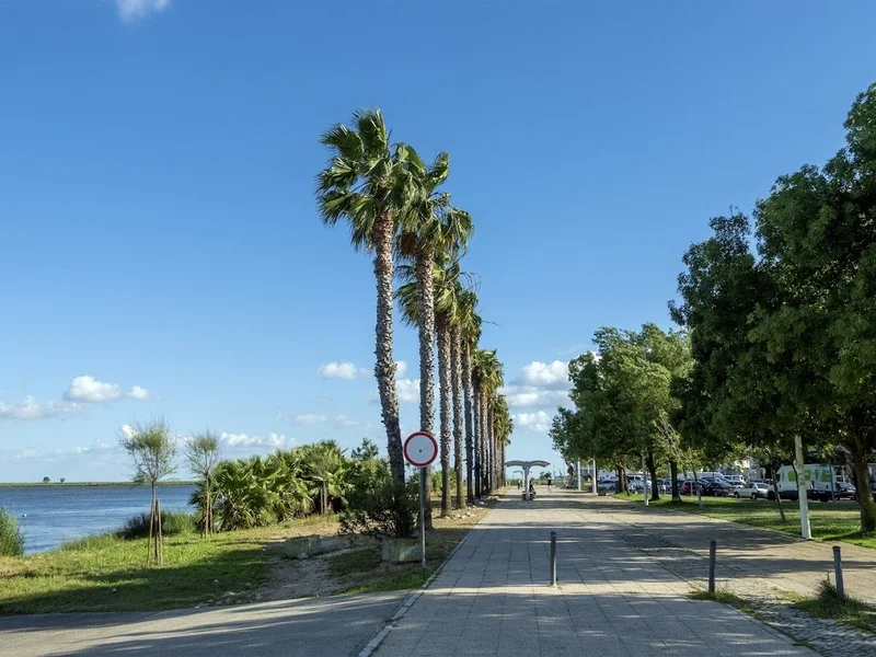 Passeio Ribeirinho de Alhandra