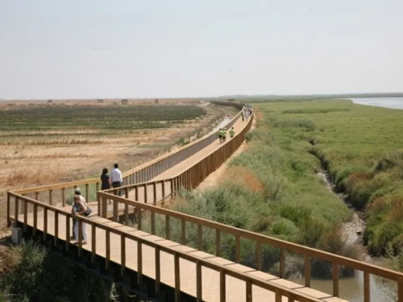 Parque Linear Ribeirinho Estuário do Tejo
