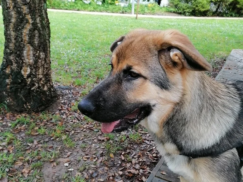 Jardim do Património