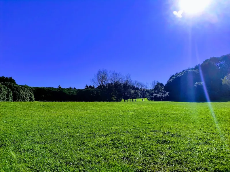 Parque da Cidade do Porto