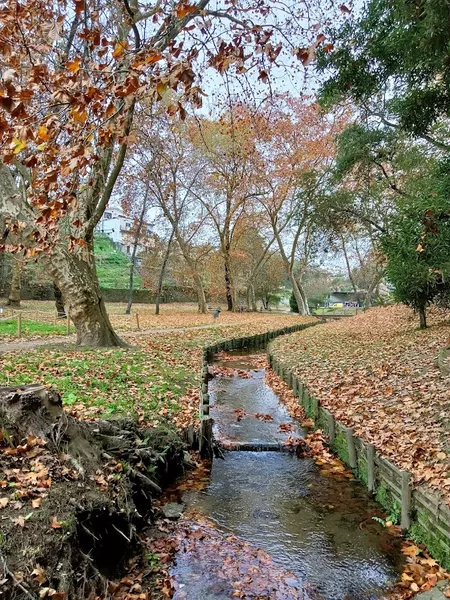 Parque dos Ribeirais