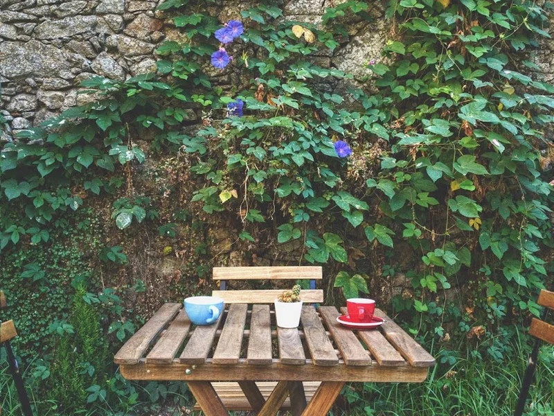 Cafetaria Nórdico Coffee Shop • Specialty Coffee