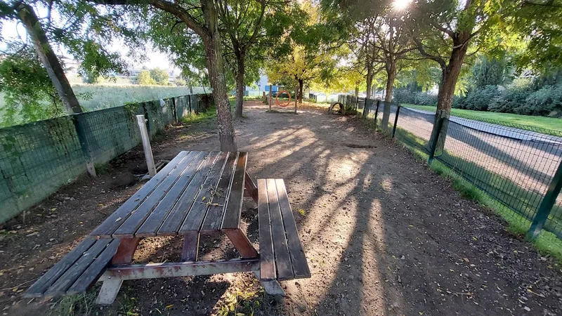 Parque Canino de Nogueiró