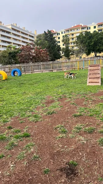 Parque Canino