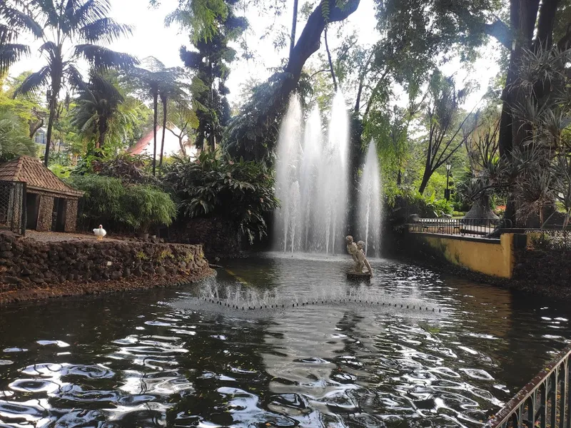 Jardim Municipal do Funchal