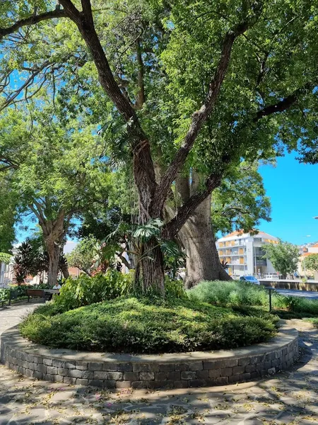 Jardim do Campo da Barca