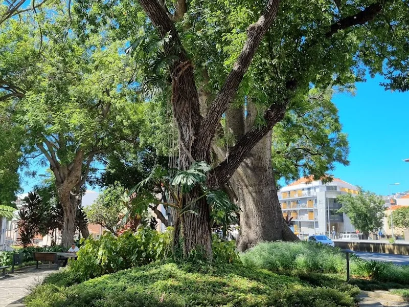 Jardim do Campo da Barca