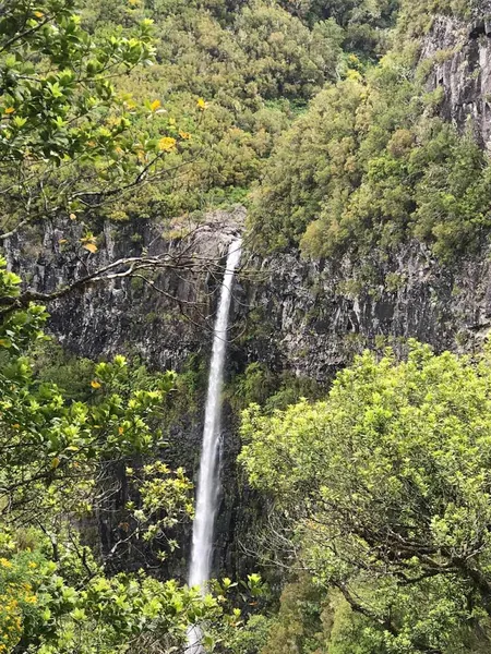 Madeira Explorers - Turismo De Lazer, Lda