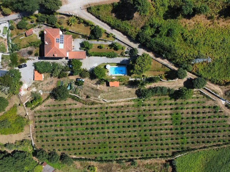Quinta do Bacelo