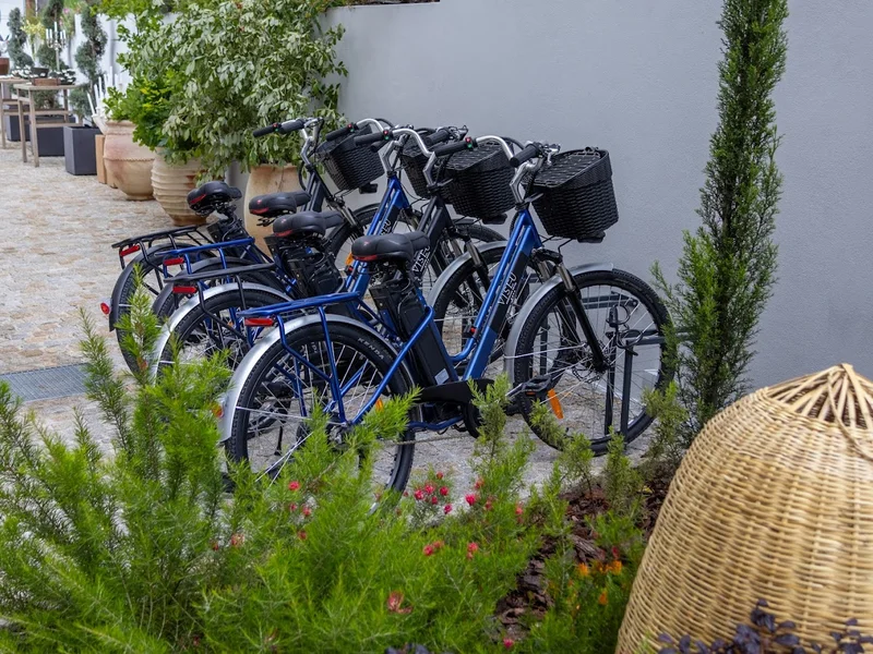 Viseu executive hotel