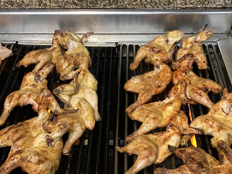 O Franguito Algarvio