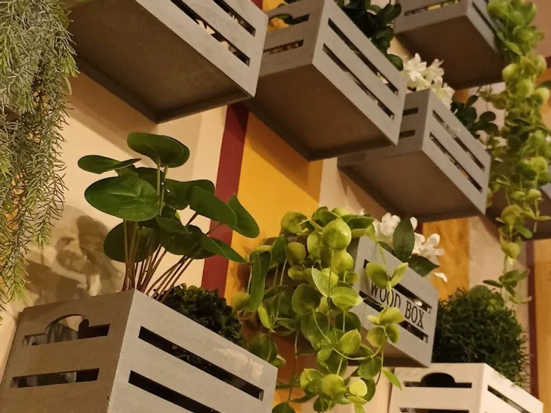 Fangas Veg