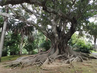 Lista 11 jardins no Ponta Delgada