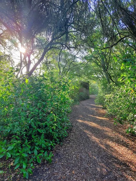 Parque Ecológico de Monsanto