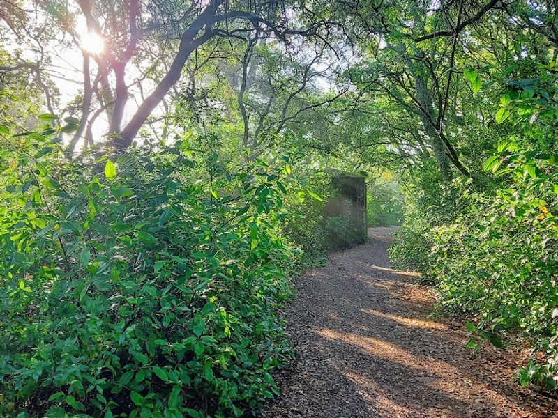 Parque Ecológico de Monsanto