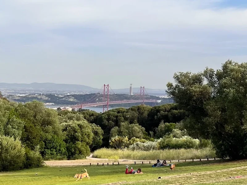 Parque de Merendas do Moinho do Penedo