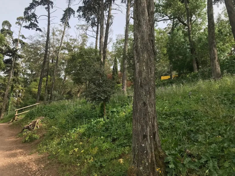 Parque de Merendas da Mata de São Domingos de Benfica, Lisboa