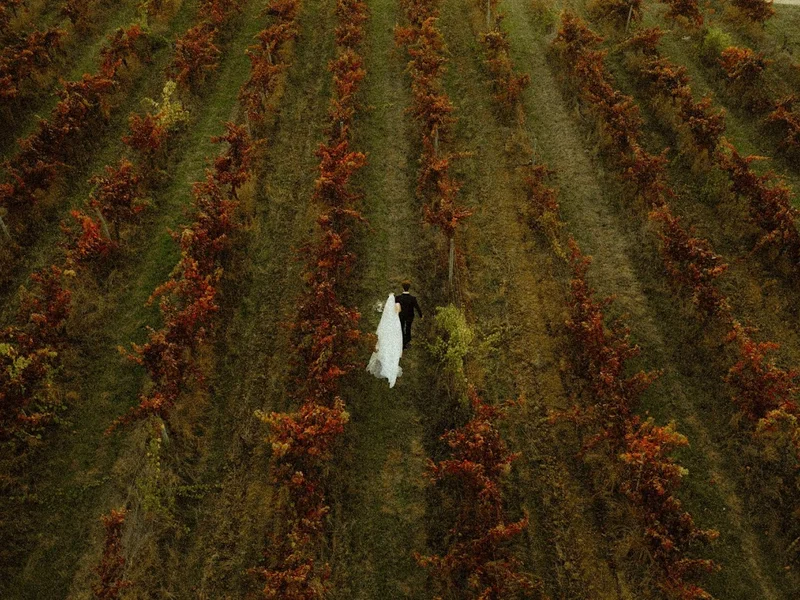 Gustavo Simões Photography