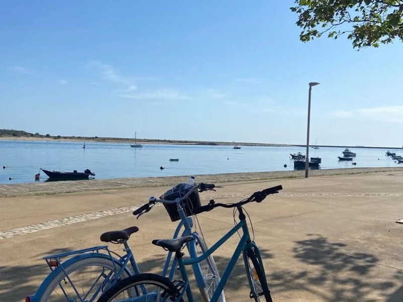 Wheel Wave - Porto Rent a Bike, Porto Rent a Ebike & Porto Tours