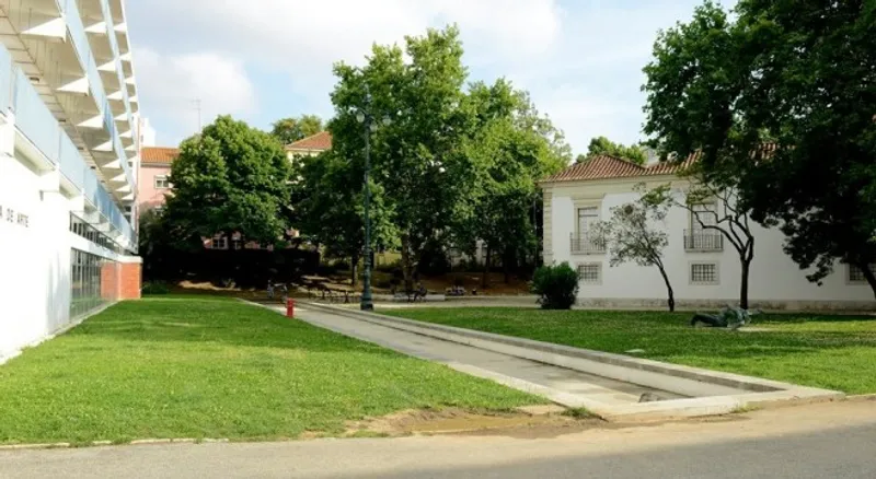 Biblioteca dos Coruchéus