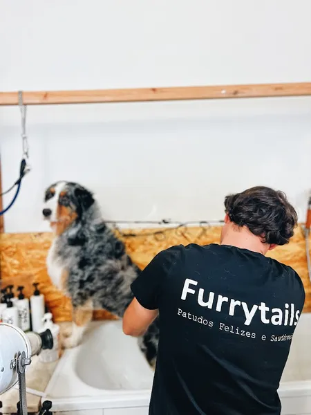 Furrytails - Daycare, Estadia, Vet, Spa, Pet Sitting, Loja Online e mais