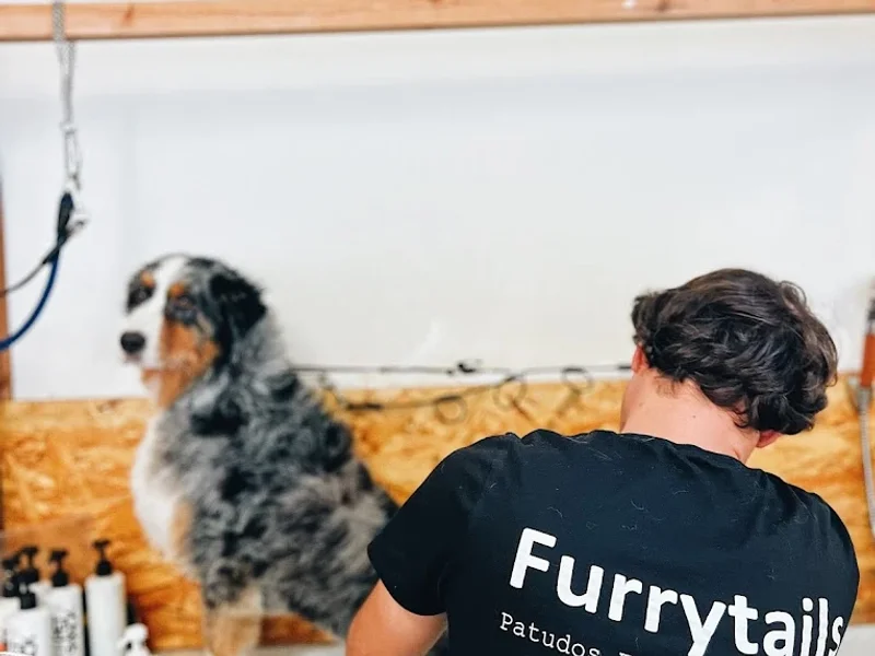 Furrytails - Daycare, Estadia, Vet, Spa, Pet Sitting, Loja Online e mais