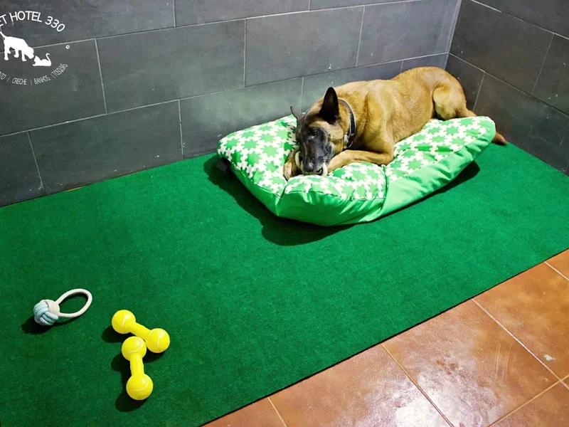 Pet Hotel 330