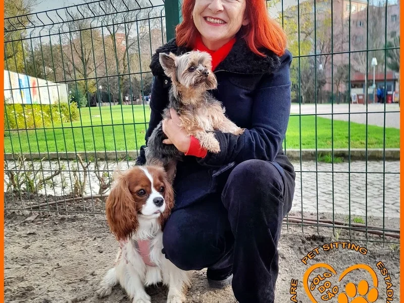 Colo do Cão ( Petsitting: Estadia Familiar para cães de pequeno porte. Em Lisboa. )